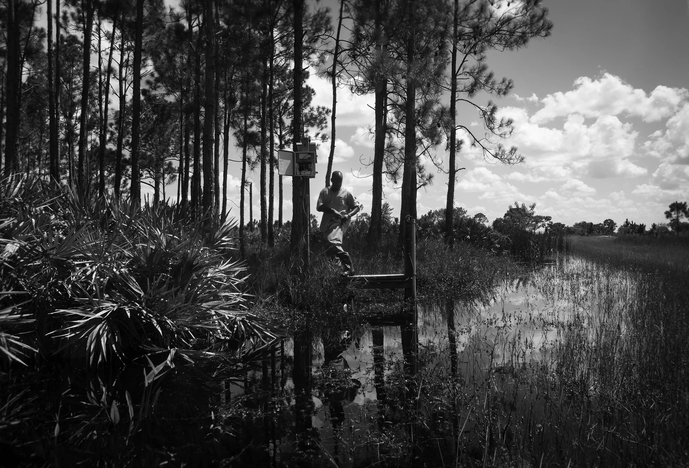 IMGP0429bw.jpg