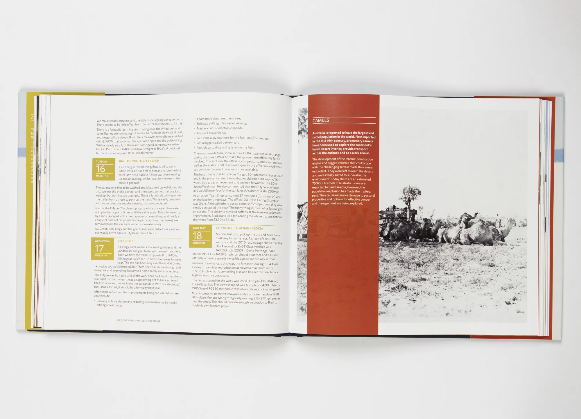 chil3_MP_Book-Design_11.jpg