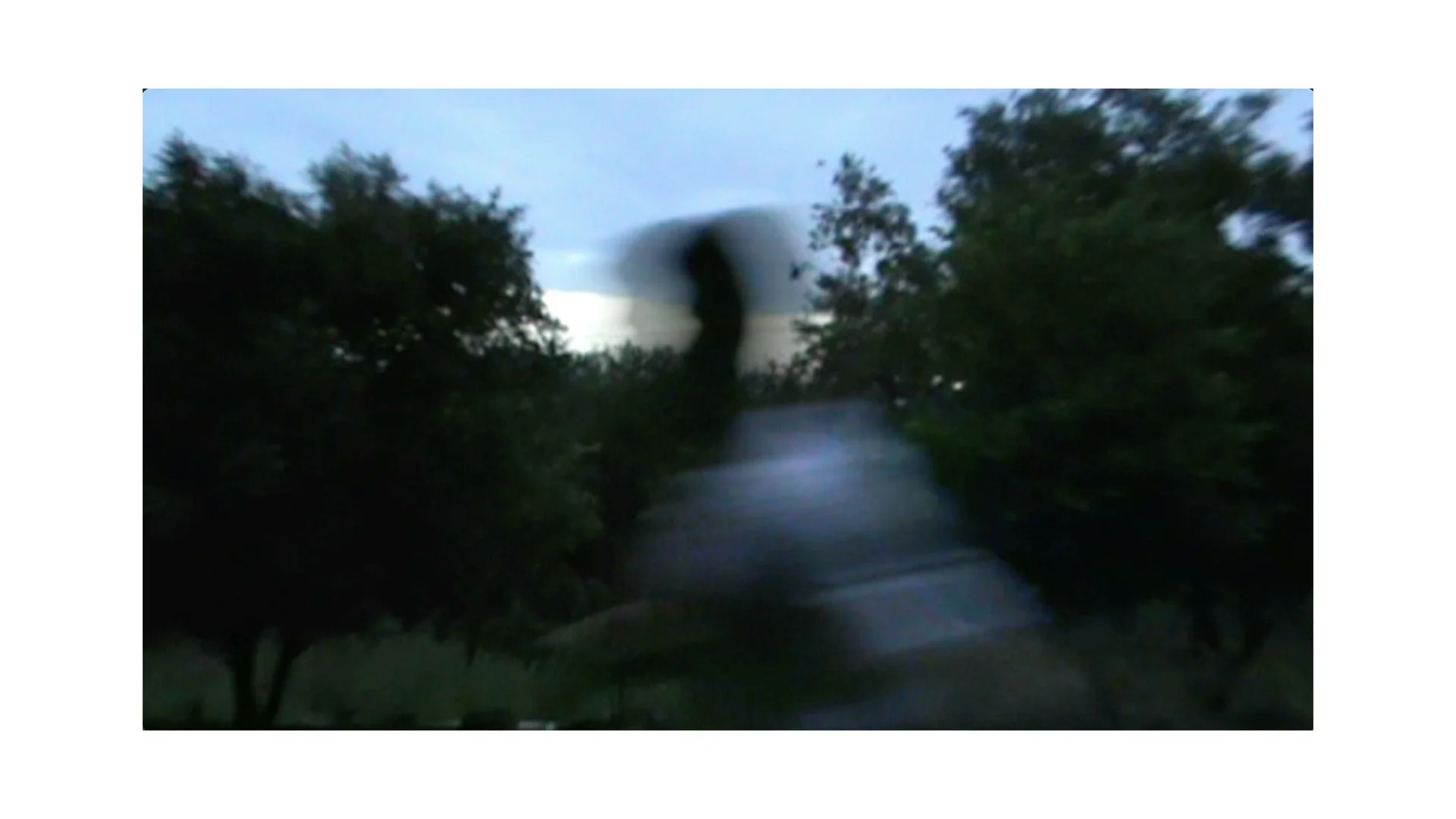 Stills.001.jpeg