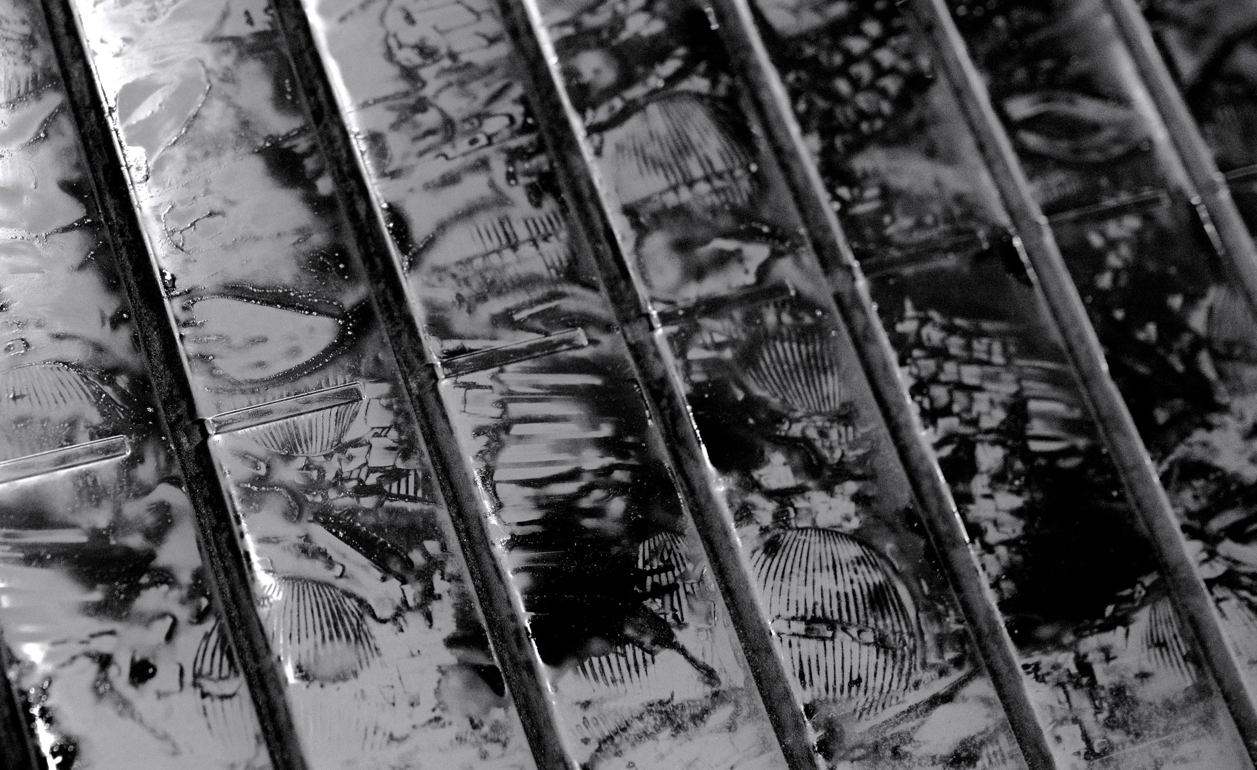 DSC_0724_BW.jpg