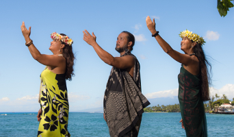 Dive into Hawaiian culture and history
