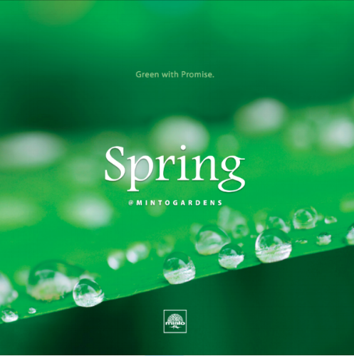 Brochure Cover