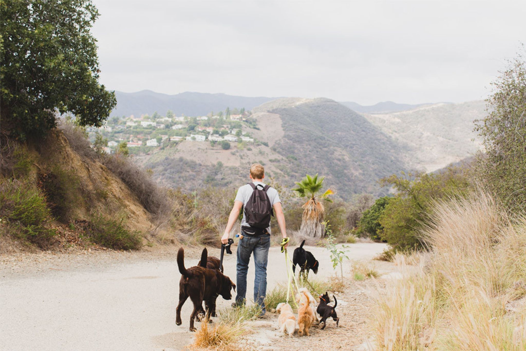 brentwood-the-lifestyle-1.jpeg