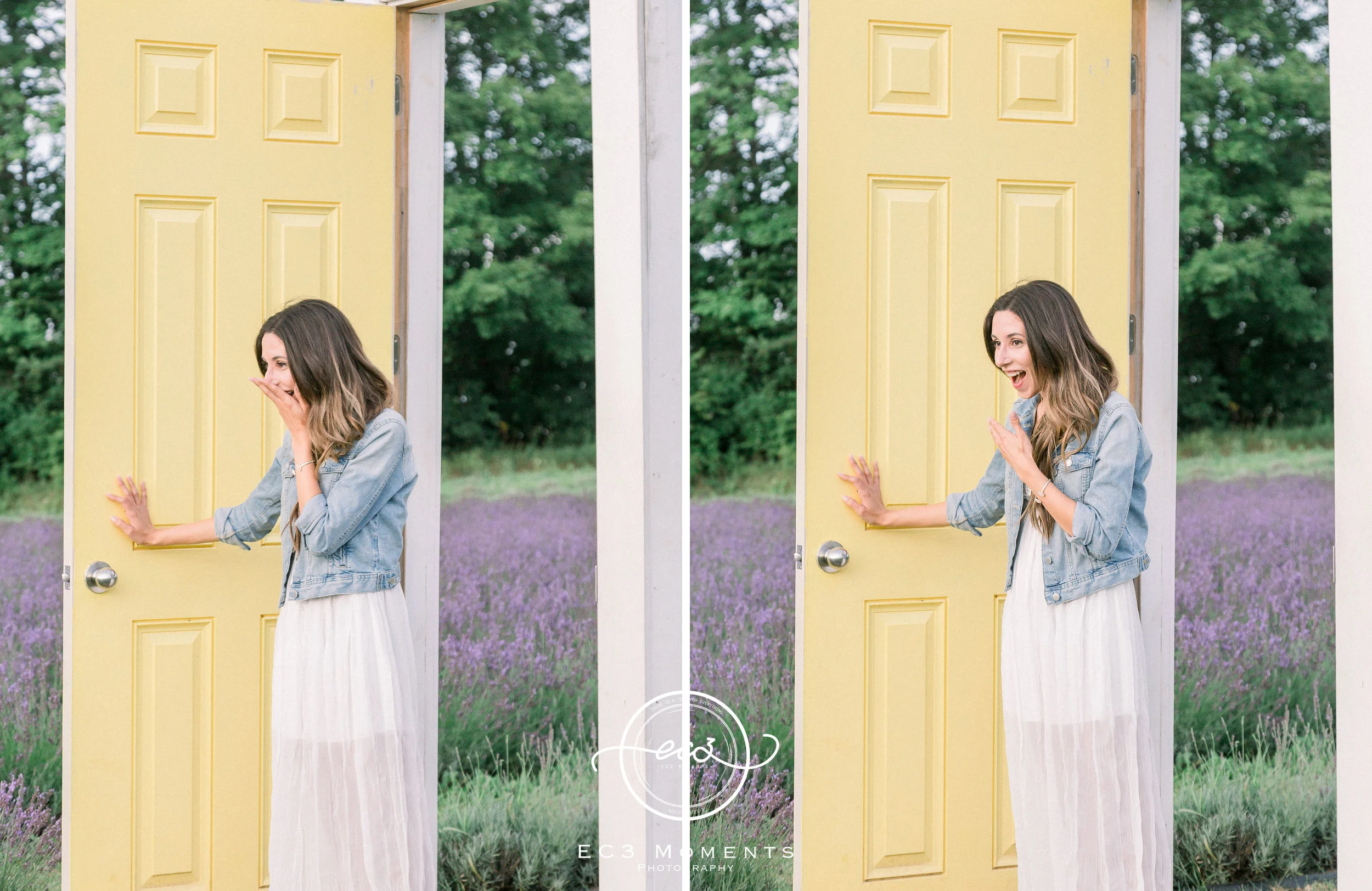 Laura & Ryan Terre Bleu Summer Surprise Proposal 7.jpg
