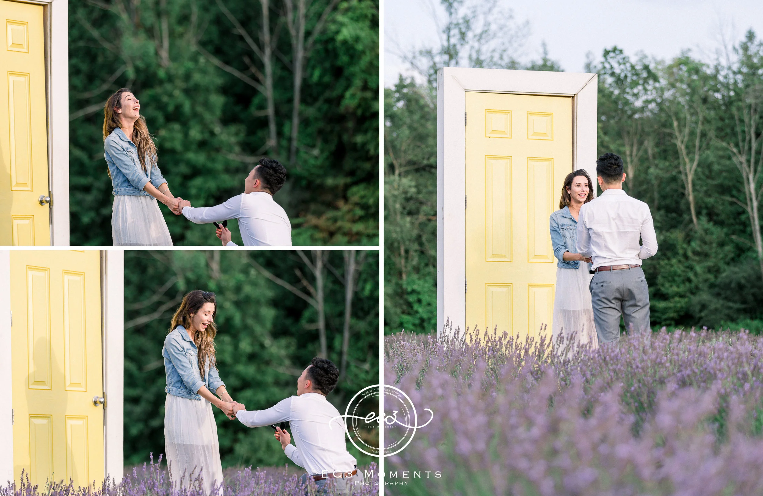 Laura & Ryan Terre Bleu Summer Surprise Proposal 10.jpg