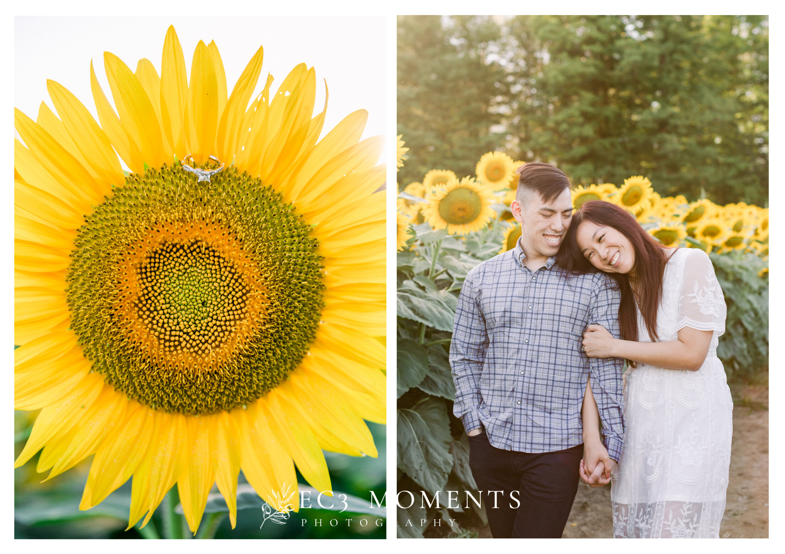 Toronto Whimsical Sunflower Field Engagement - 2.JPG