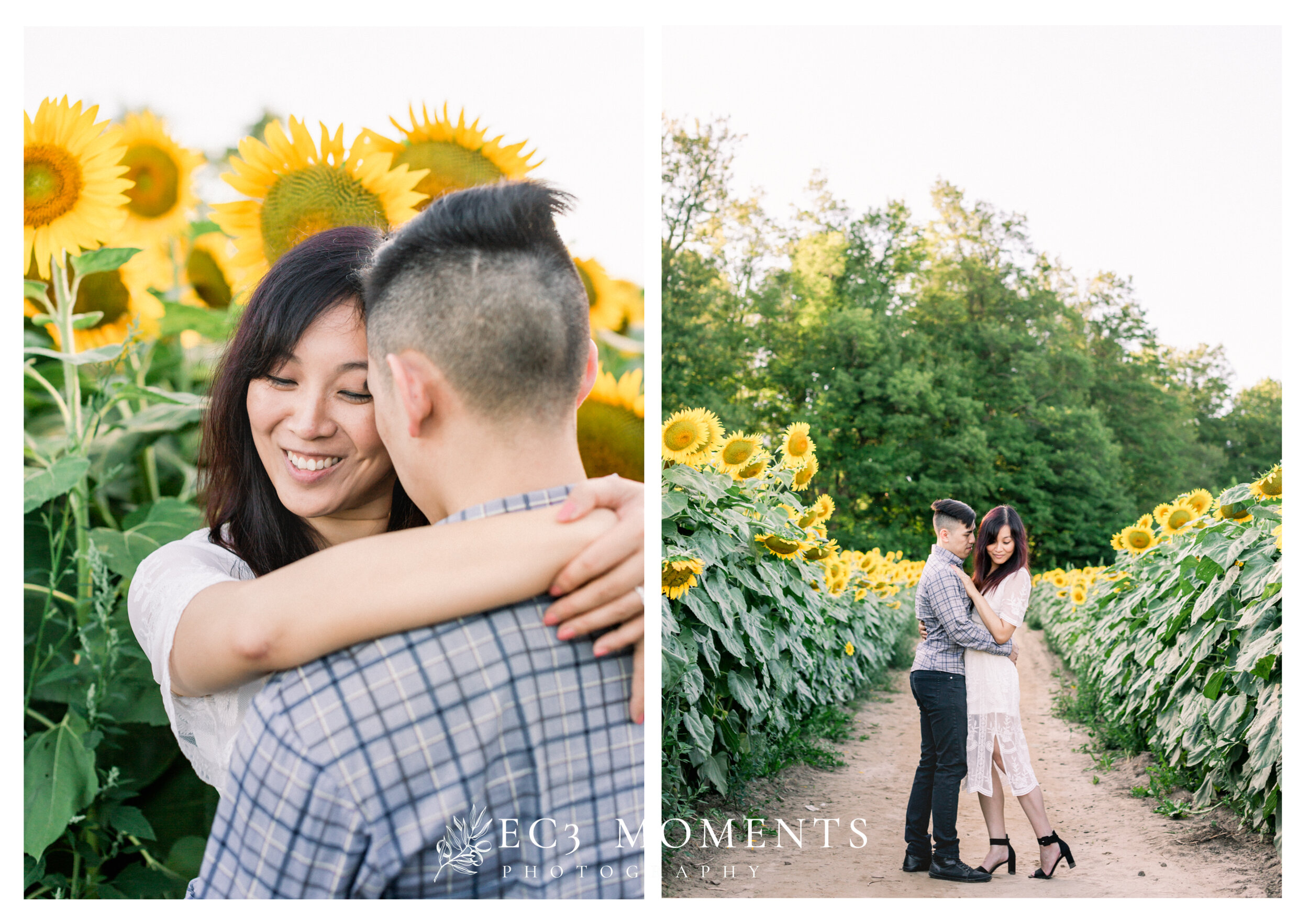 Toronto Whimsical Sunflower Field Engagement - 1.JPG