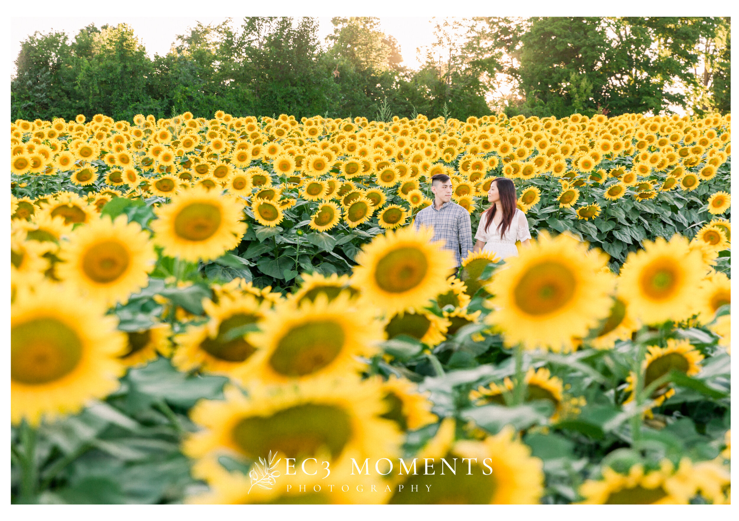 Toronto Whimsical Sunflower Field Engagement - 5.JPG