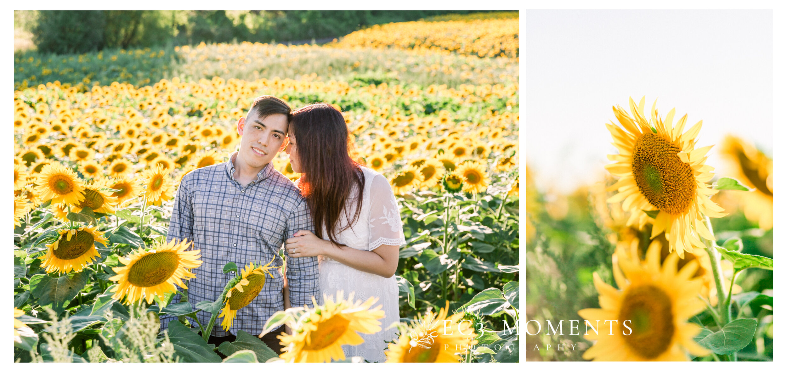 Toronto Whimsical Sunflower Field Engagement - 10.JPG