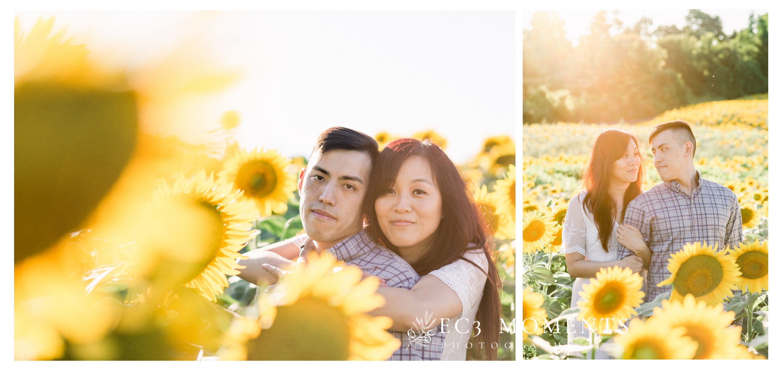 Toronto Whimsical Sunflower Field Engagement - 15.JPG