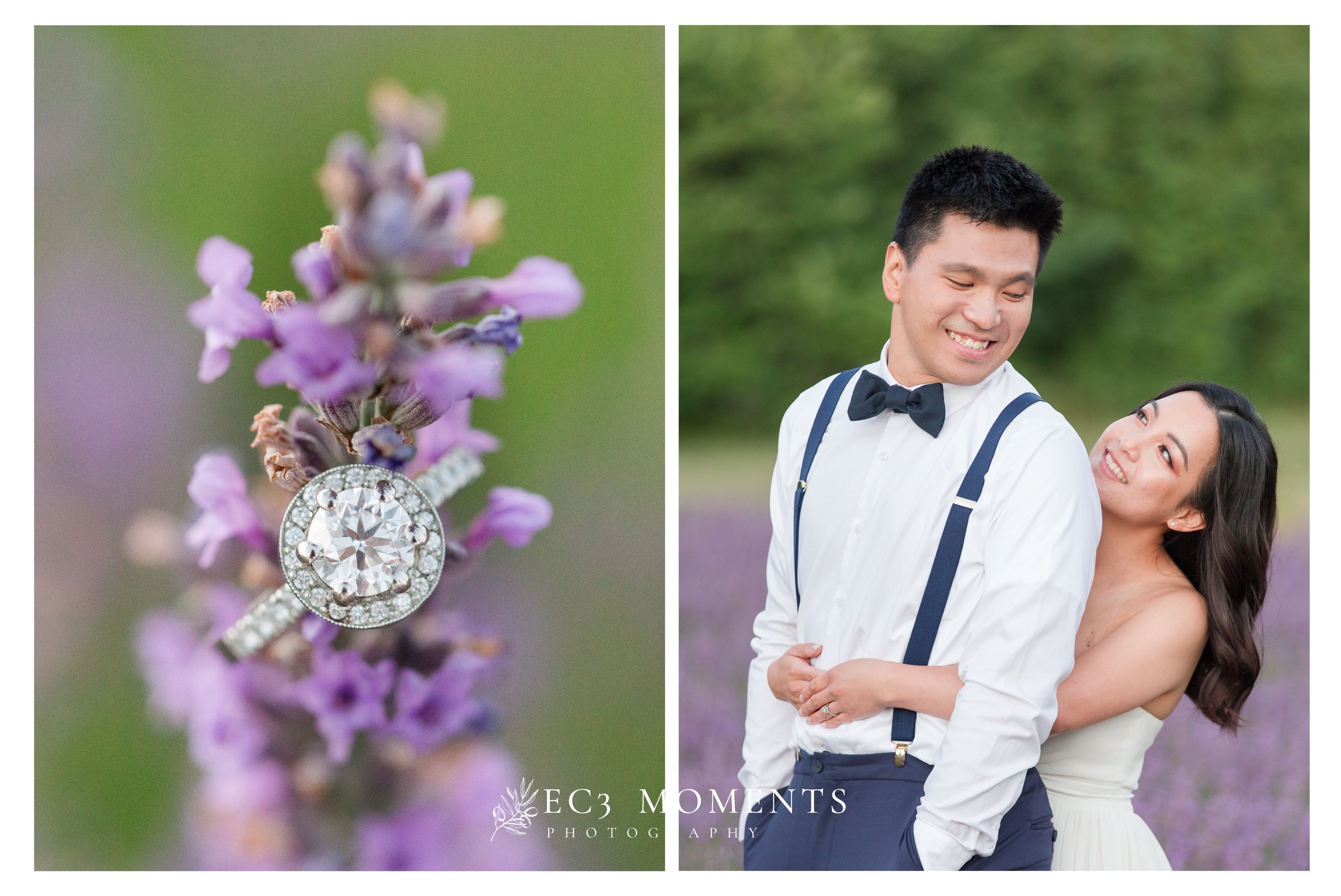  Captured at Bonnieheath Estate Lavender and Winery by EC3 Moments 