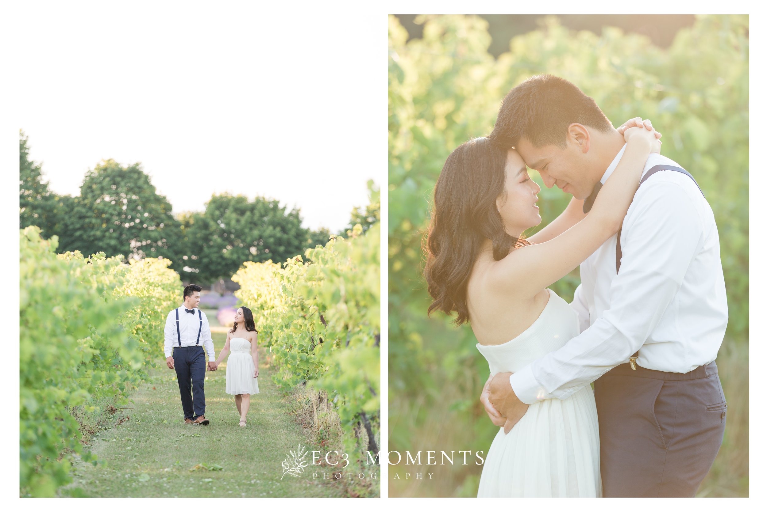  Captured at Bonnieheath Estate Lavender and Winery by EC3 Moments 