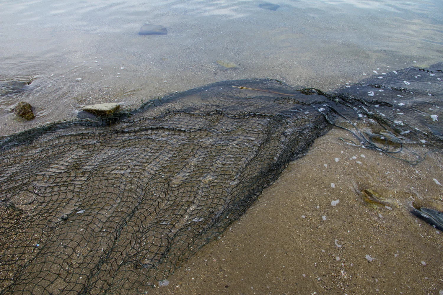 Cloran_Beached.jpg