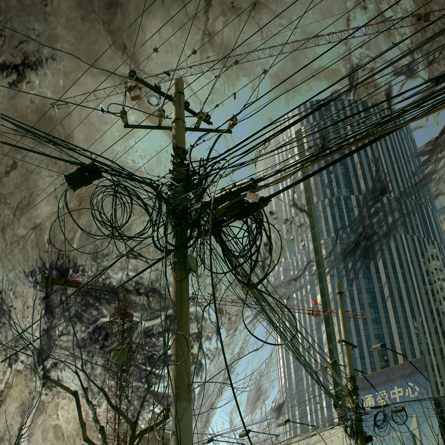 05_Beijing willows & wires.jpg