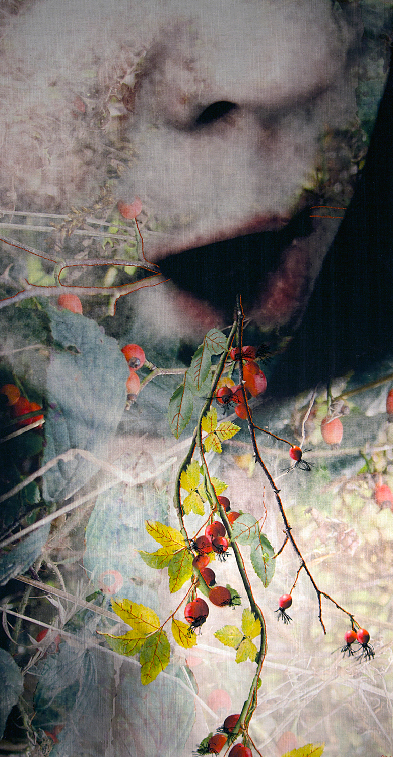 STRANGE MAGIC Ingress/Egress 01