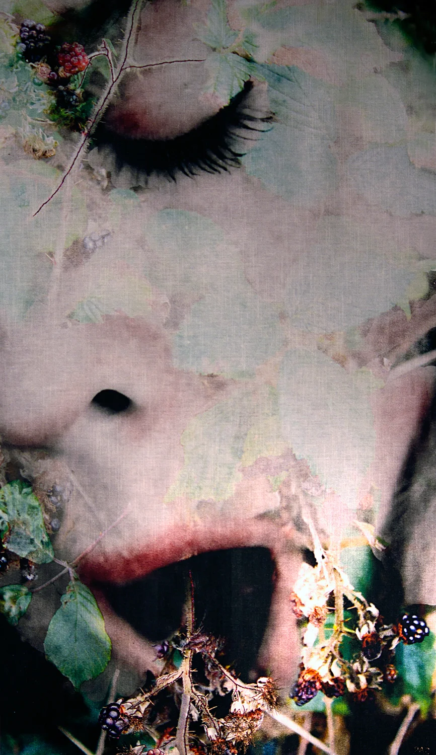 STRANGE MAGIC Ingress/Egress 02