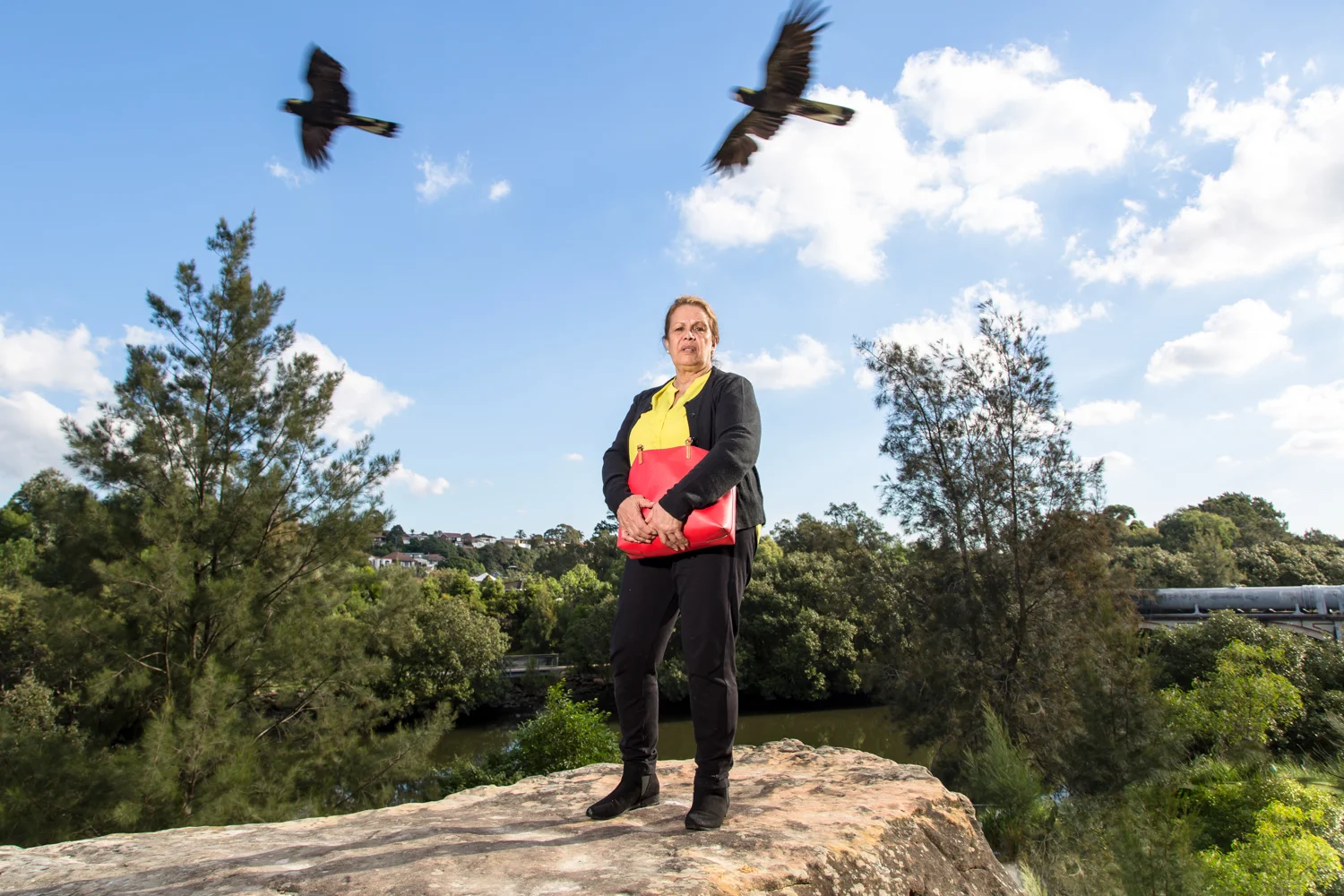 THE COOKS RIVER PROJECT Ann Weldon