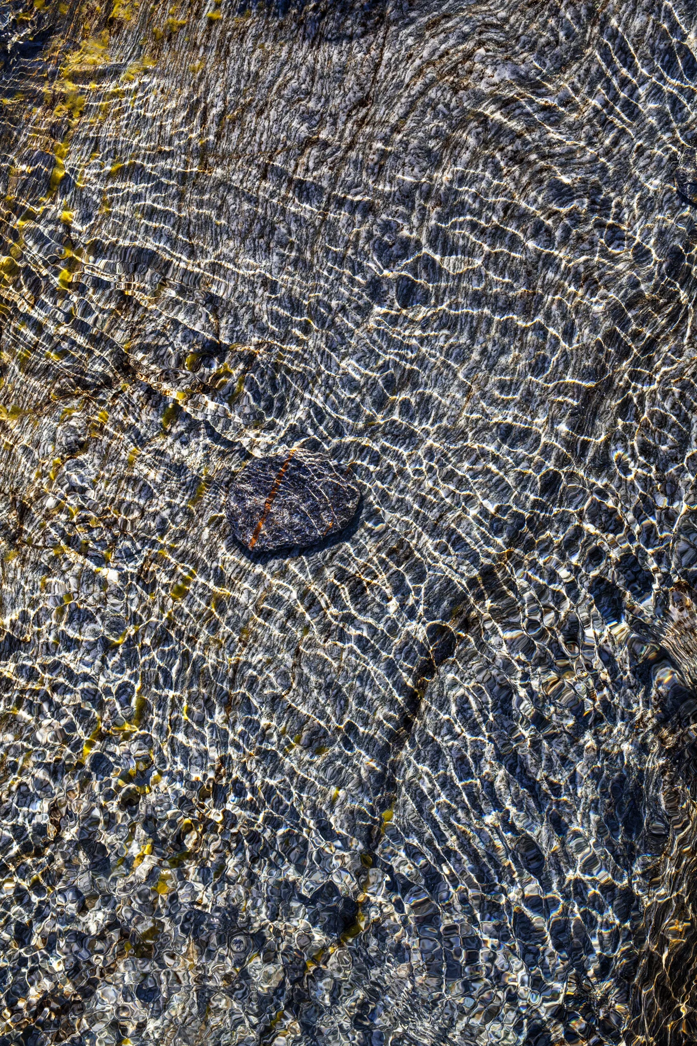 FRAGILITY Voice of Water
