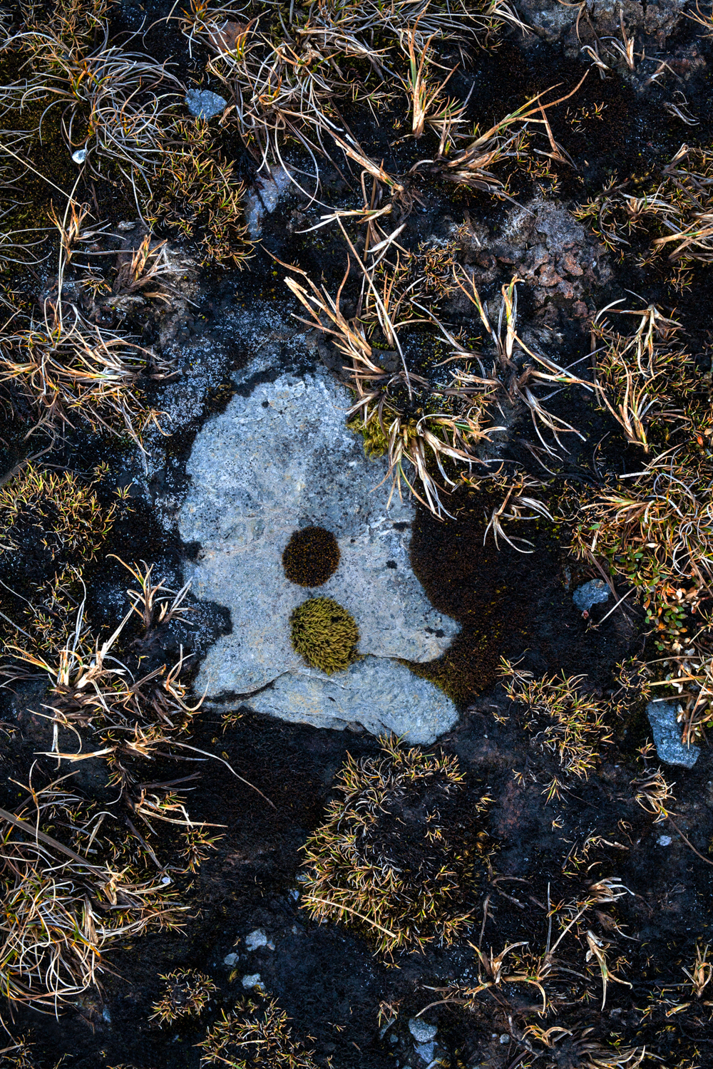 FRAGILITY Earth