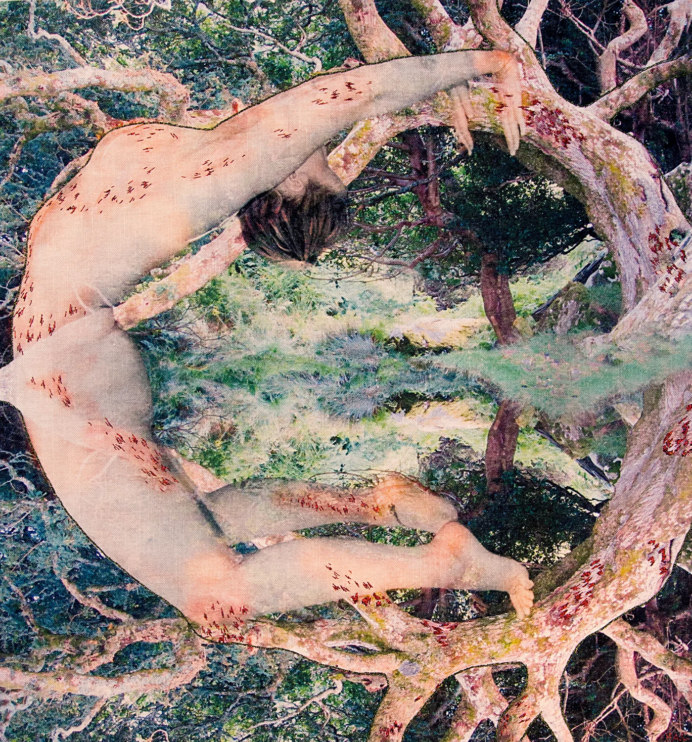 STRANGE MAGIC The Camouflaged Desire