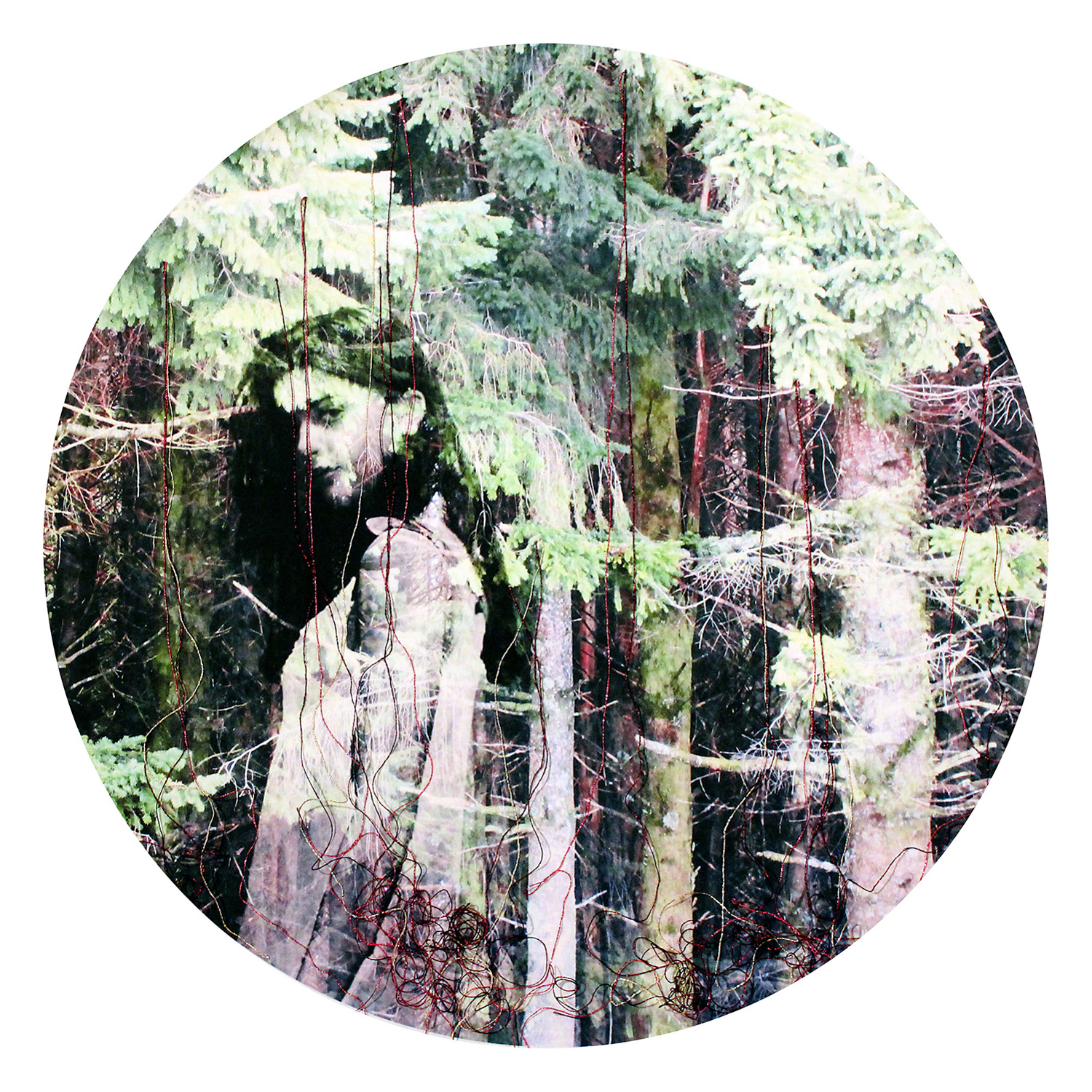 MURMUR Into the Clearing 01