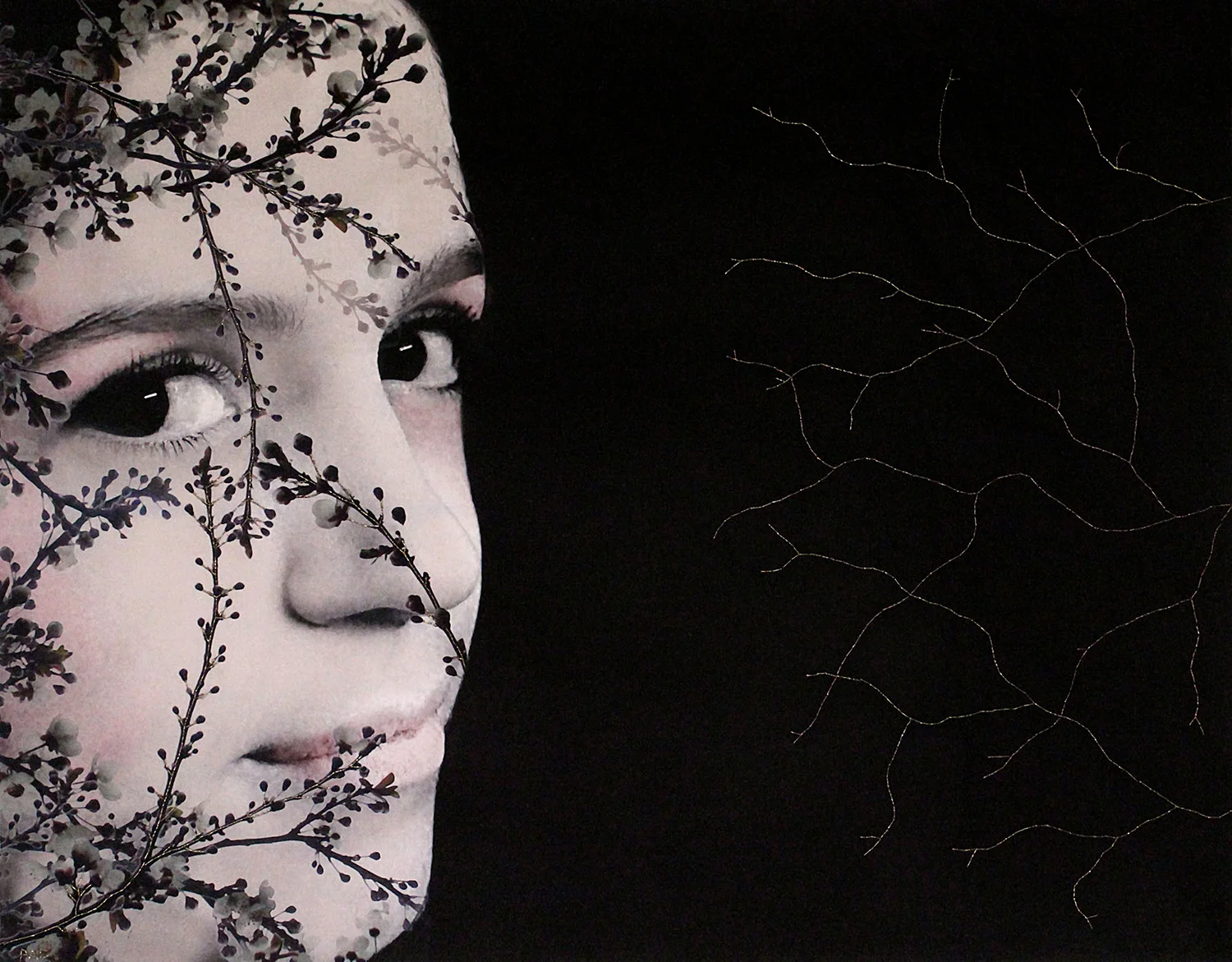 MURMUR Nocturne (Secret Garden) 01