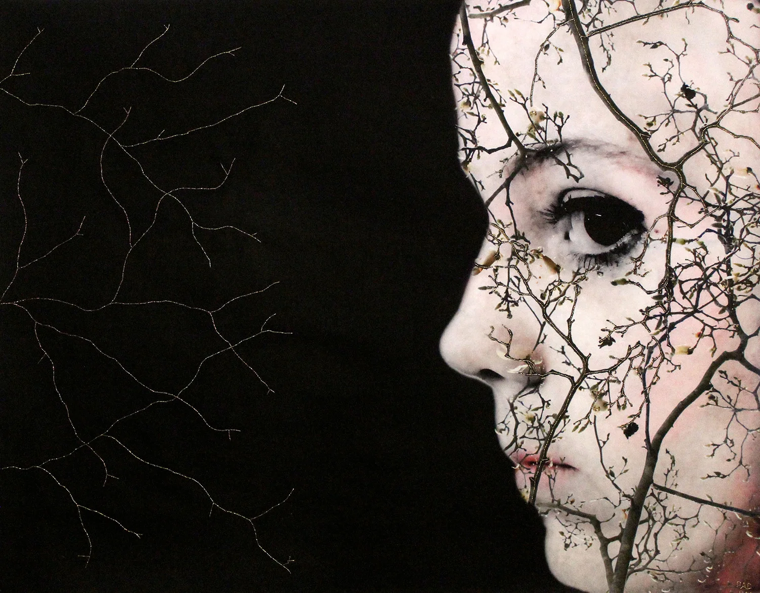 MURMUR Nocturne (Secret Garden) 01
