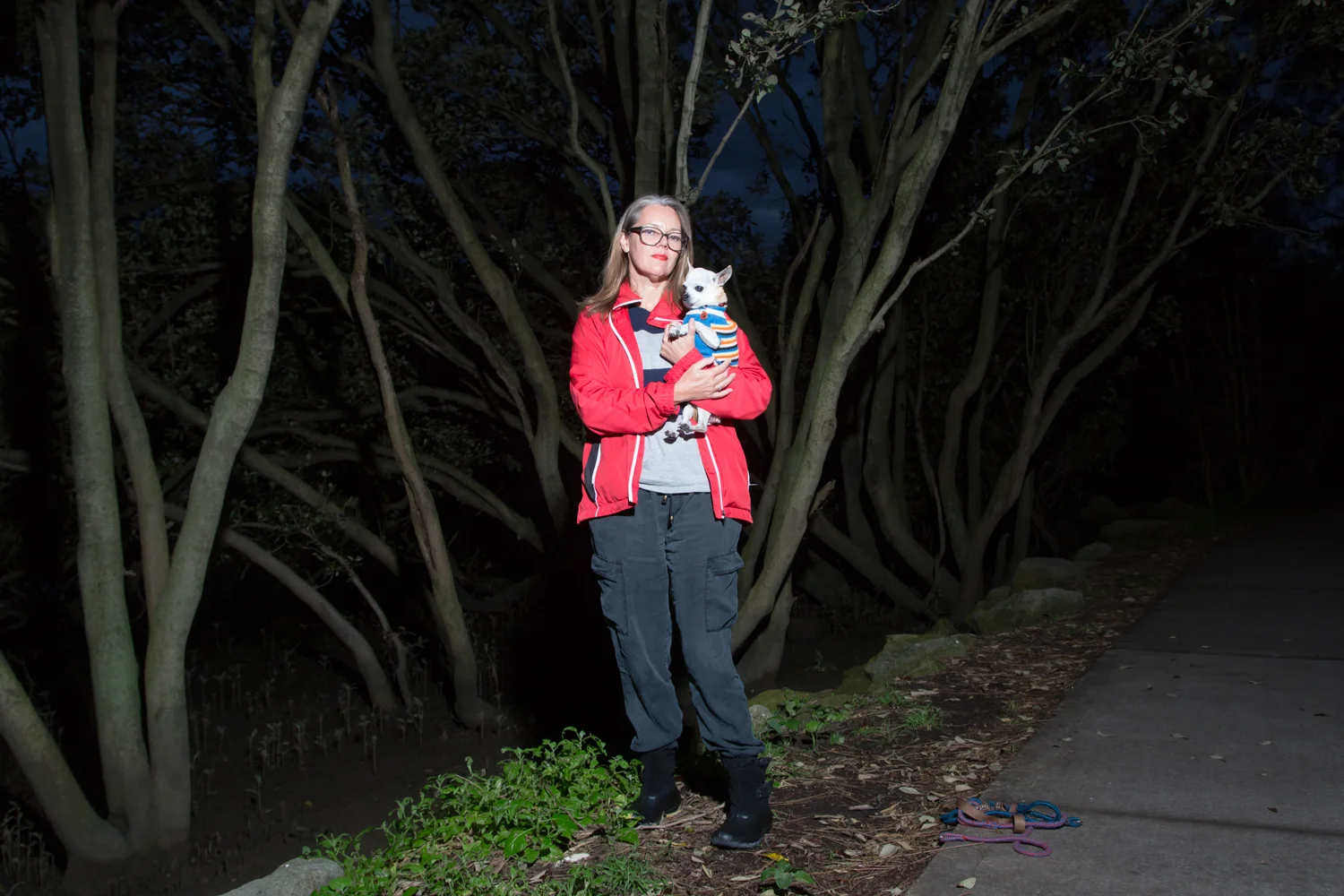THE COOKS RIVER PROJECT Suzanne Ingram