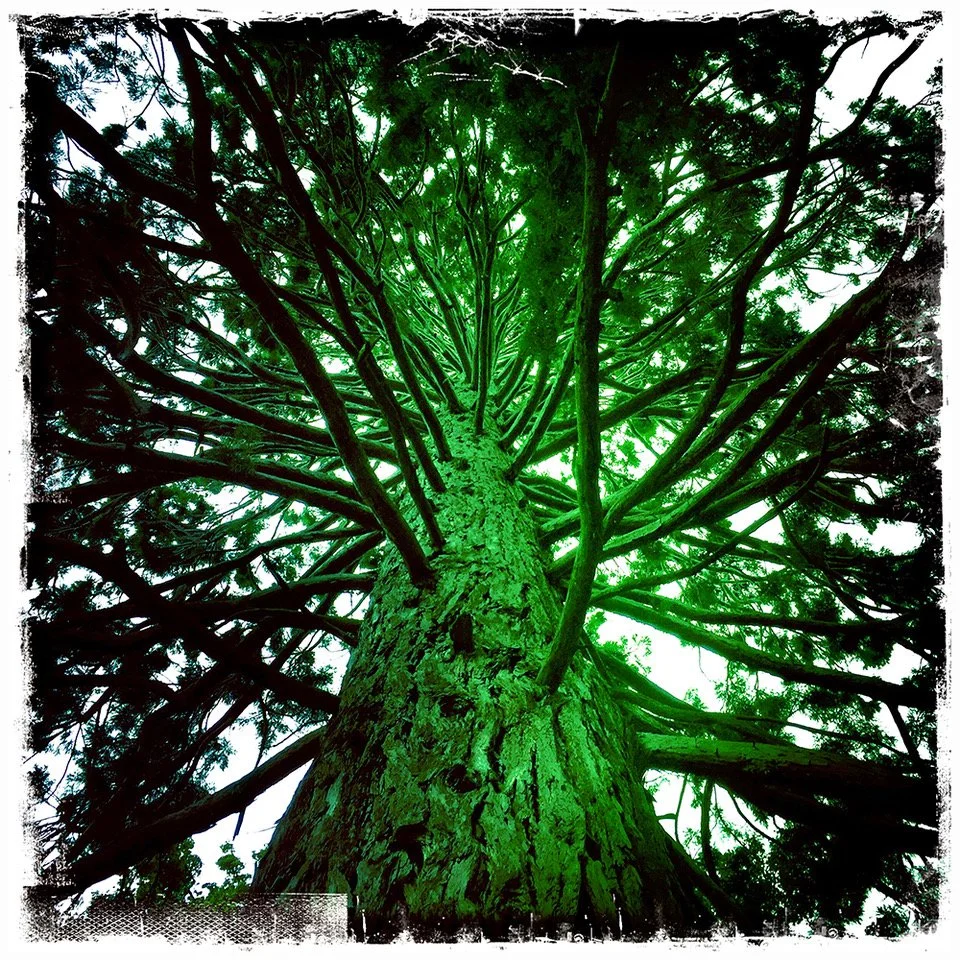 Reach for the Sky