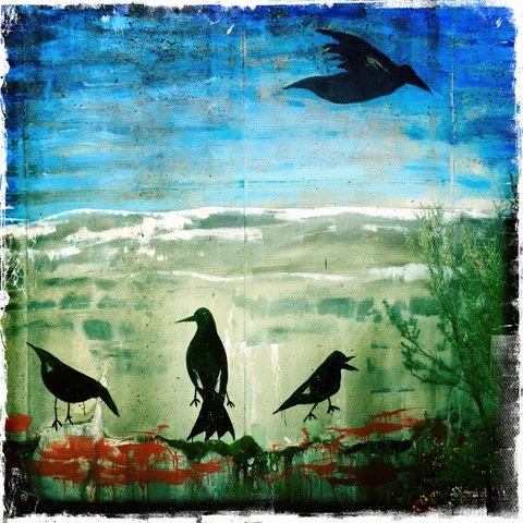 Watertank Birds
