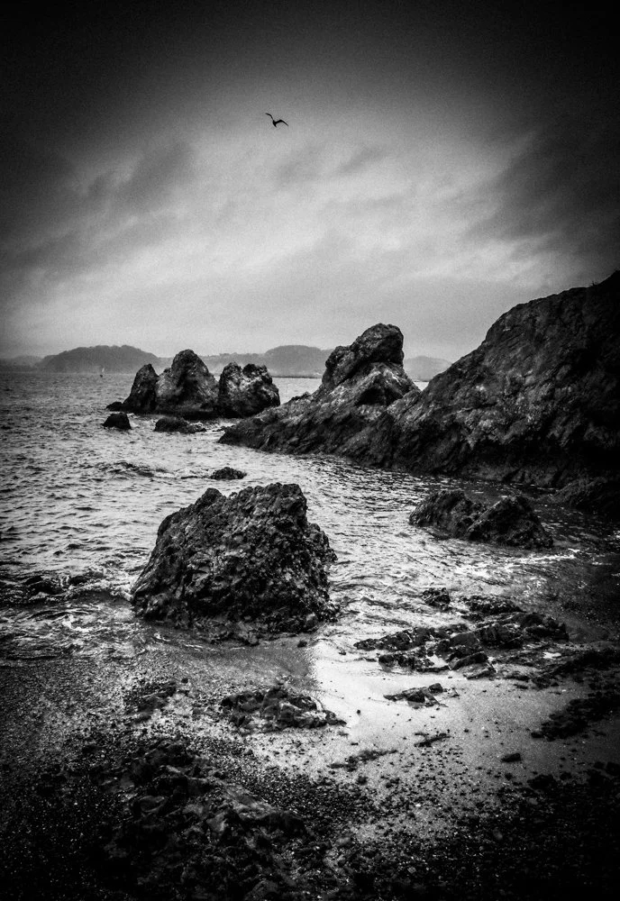 By the Sea, Zushi 2016