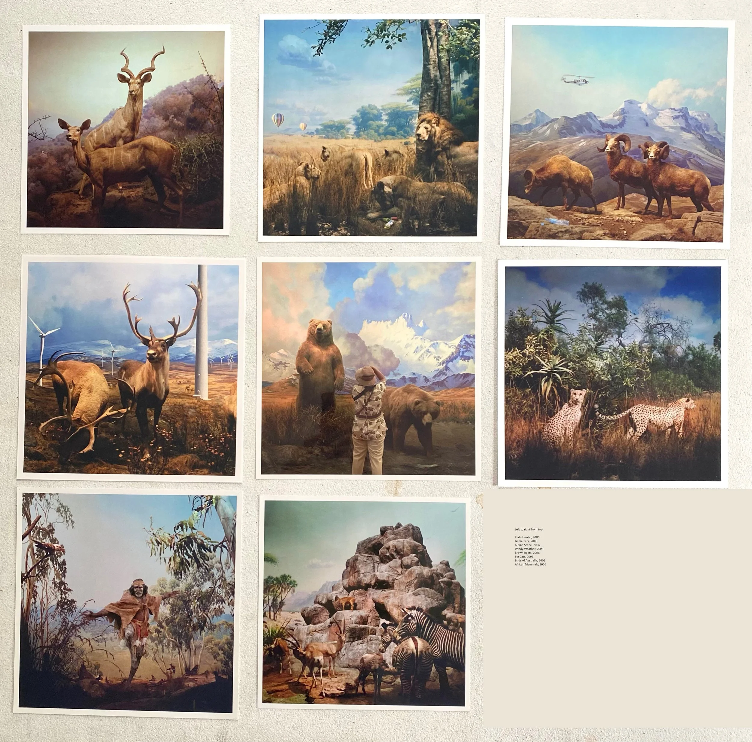 Proof Prints from Wildlife 2006-2008