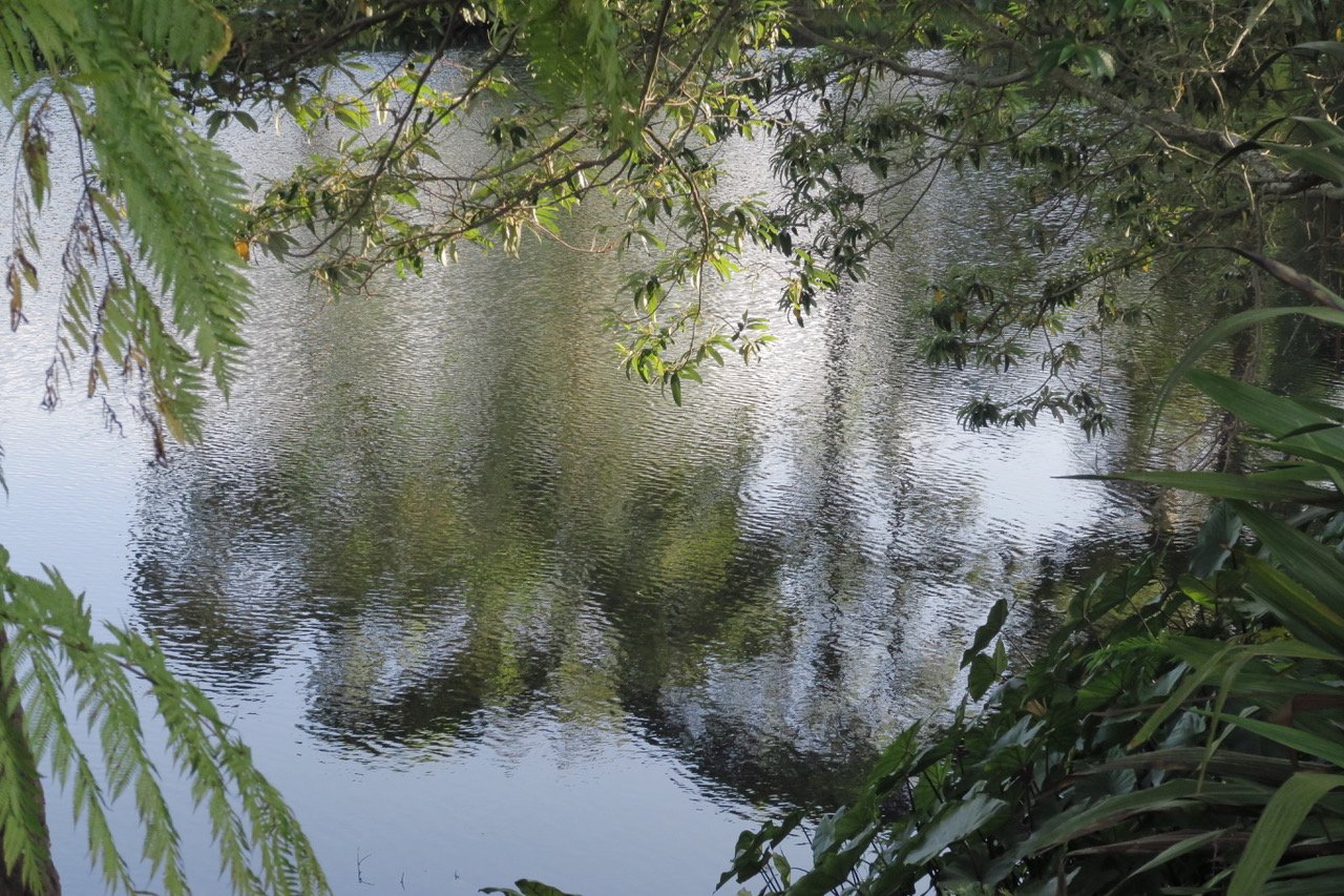 Jill Crossley IMG_0276.jpeg