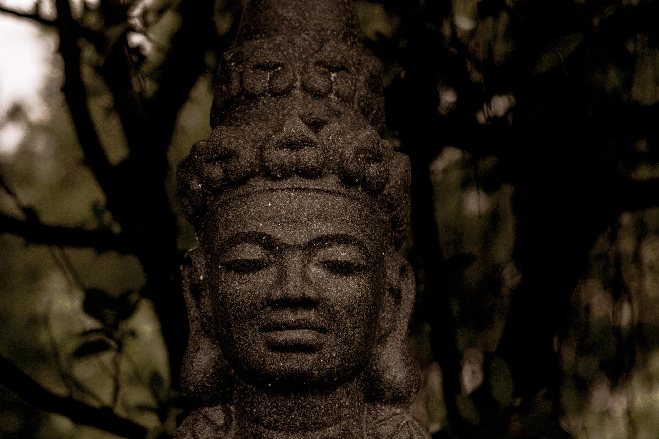 Asia (22 of 62).jpg