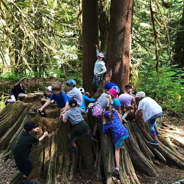 Ava&rsquo;s kindergarten class on a hike at Alice lake 🌿💚 I can&rsquo;t believe my little love is almost finished kindergarten.