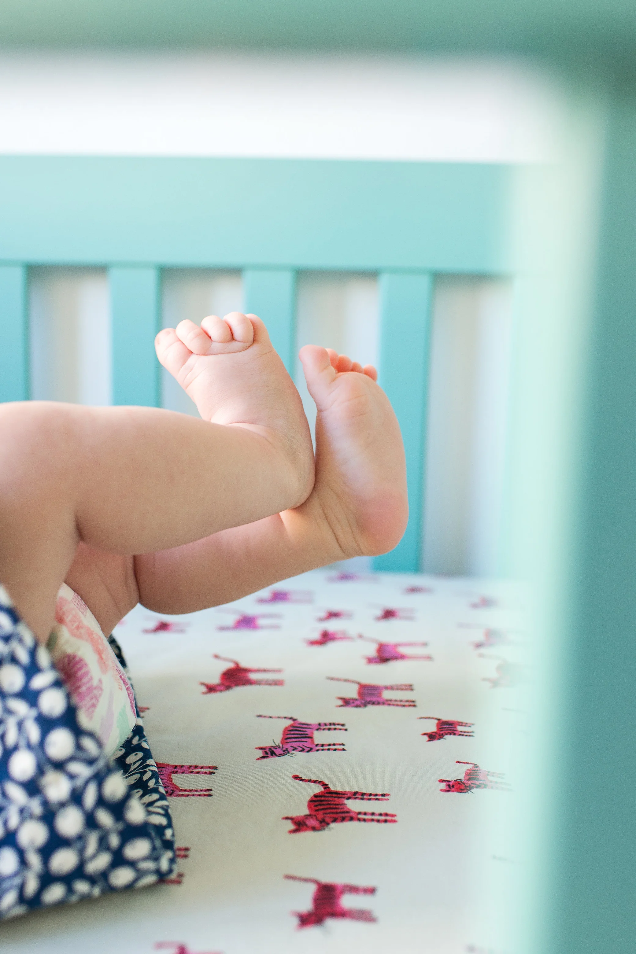 ZosiaNuttNewborn-61.jpg