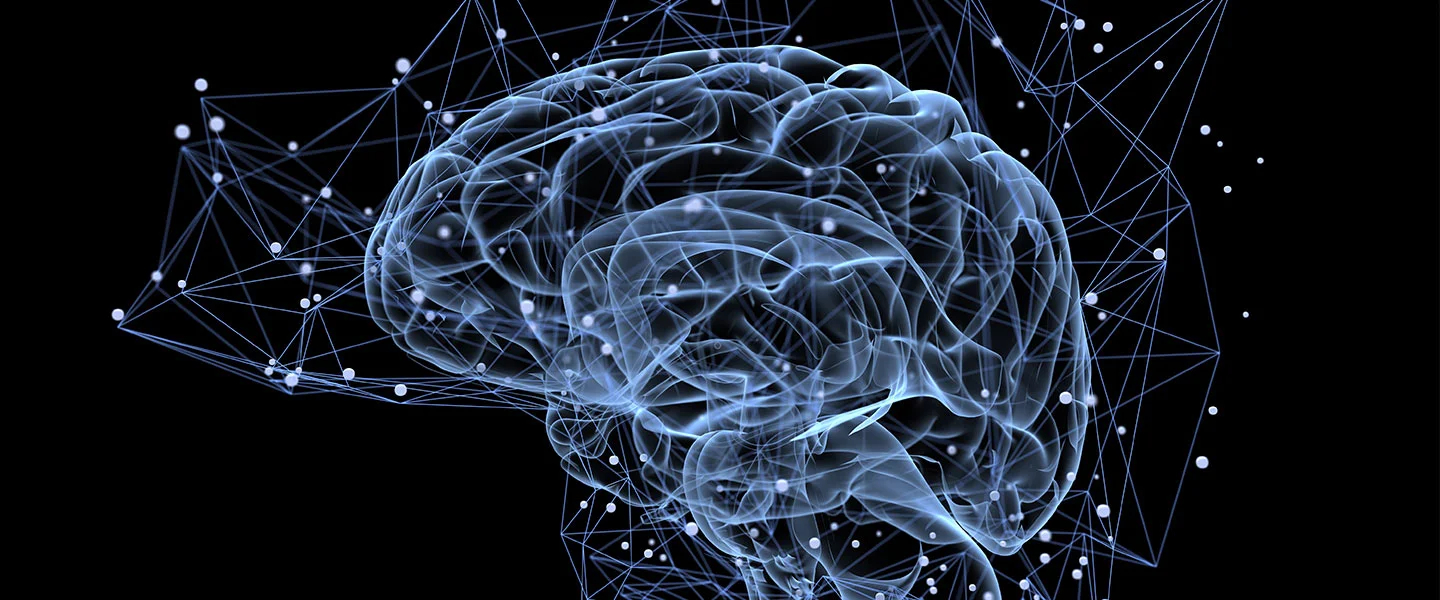 brainactivity-1440_5.jpg