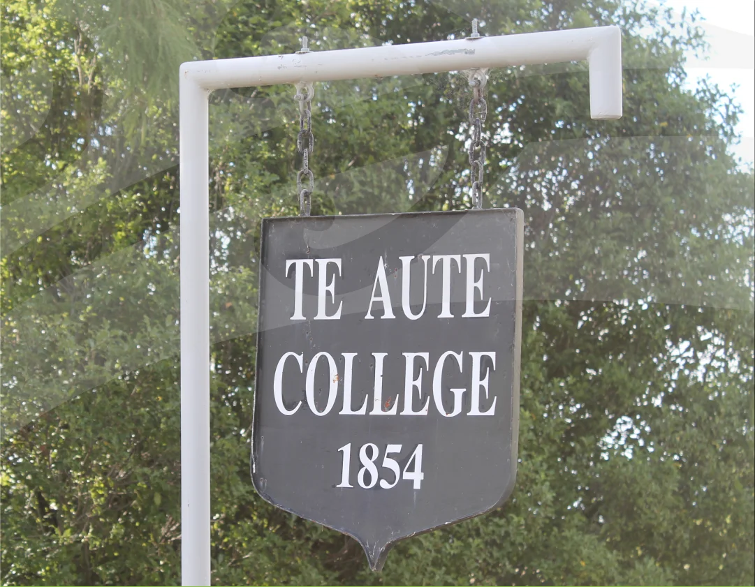 te aute - s1.jpg