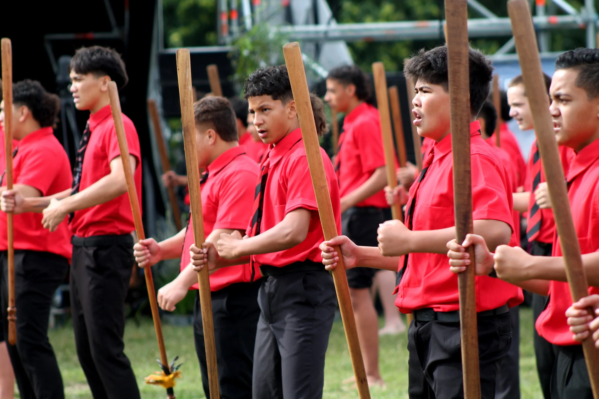 mau rakau 2.JPG