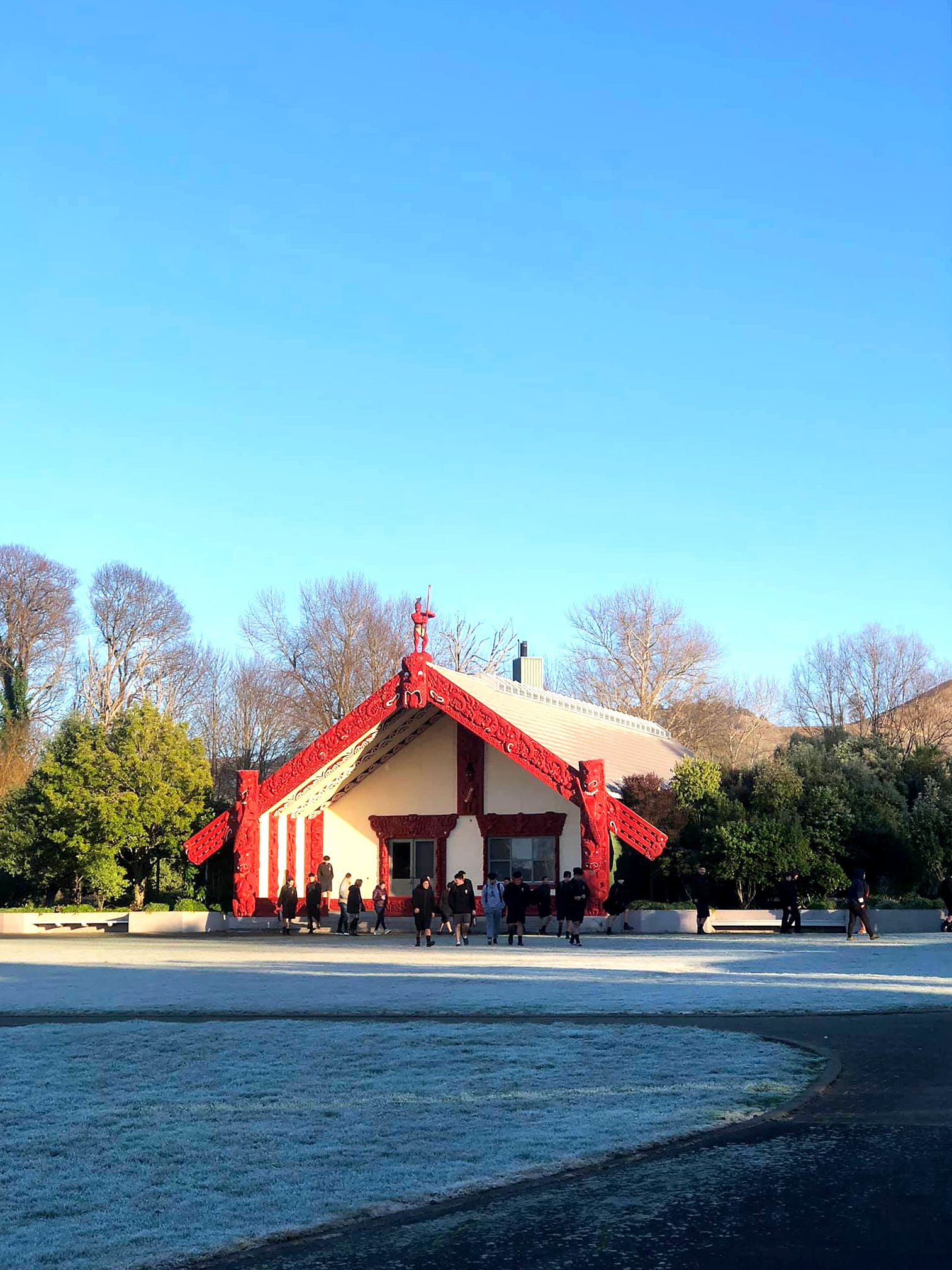 Tekoteko Whare - edit 6.jpg