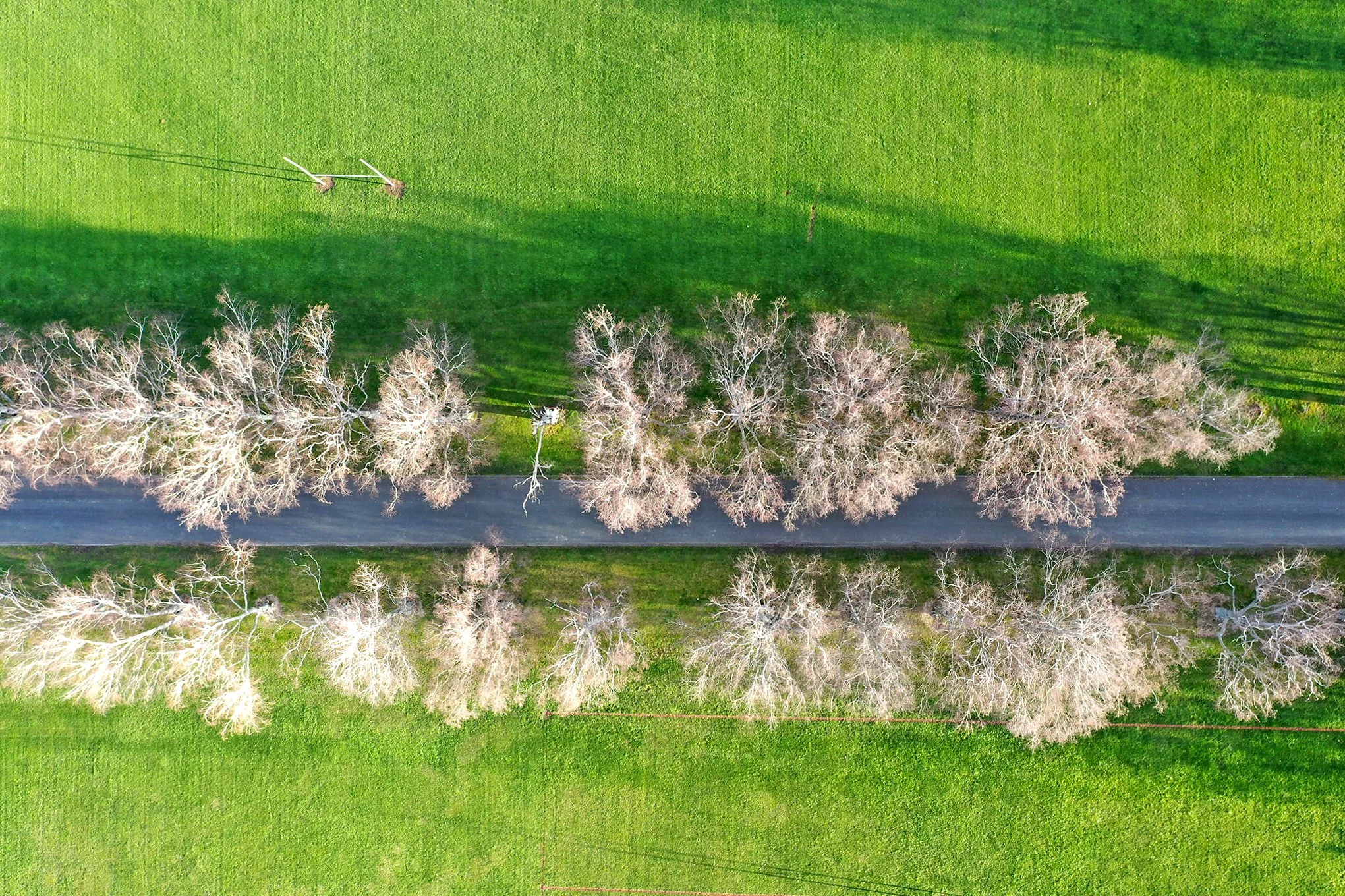 Driveway Birdseye.jpg
