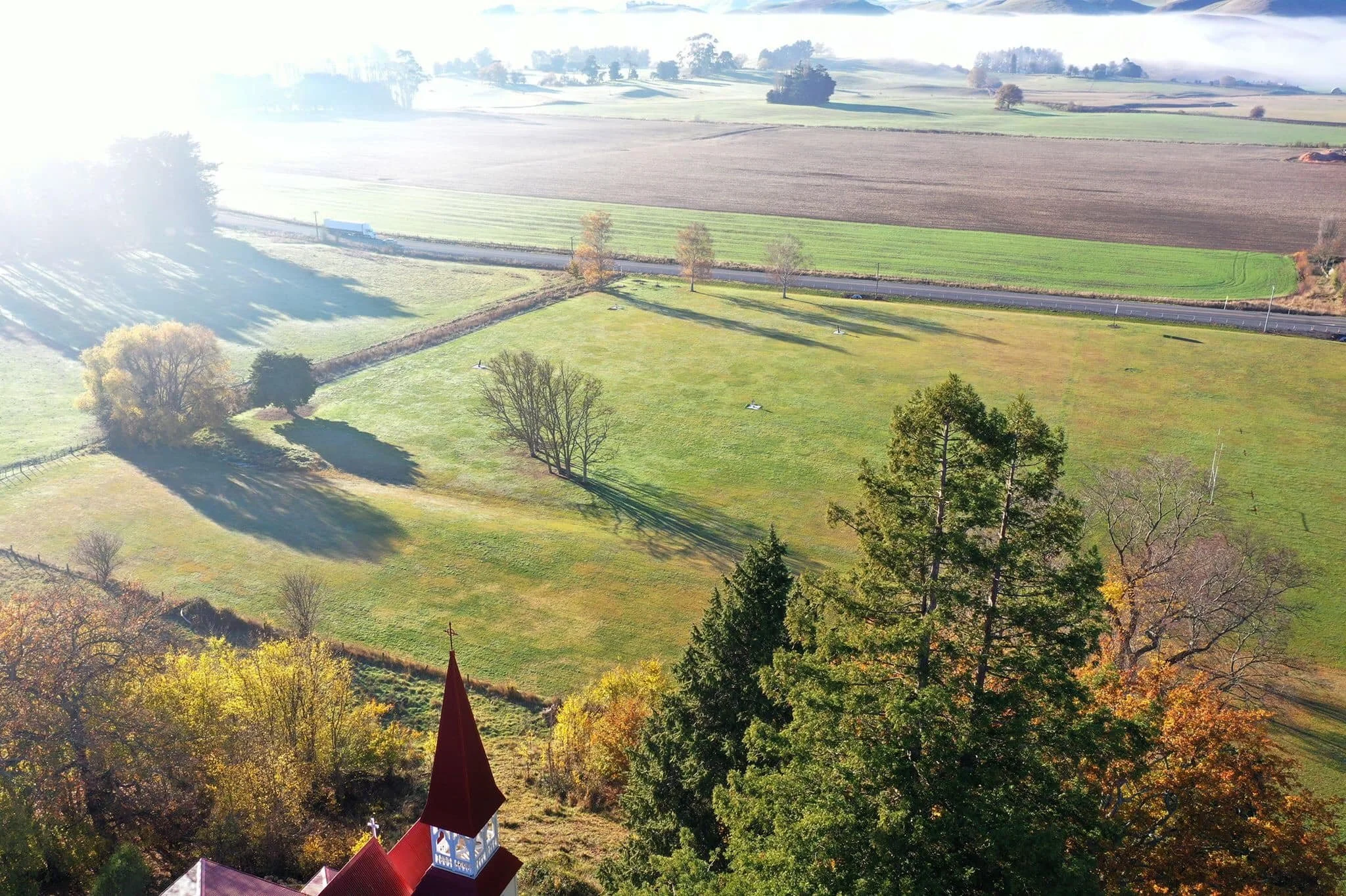 field.jpg