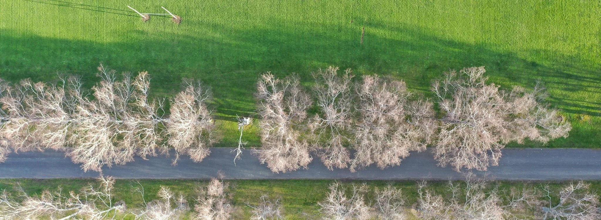 Driveway Birdseye-website.jpg