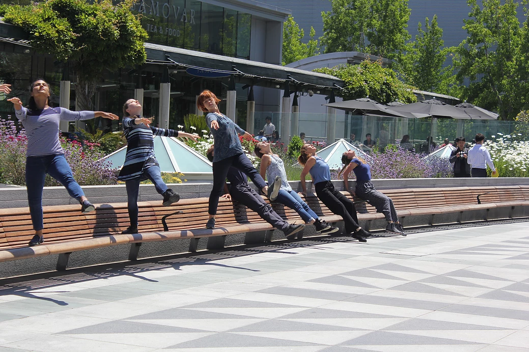 Occupy: a site-specific journey through an urban garden