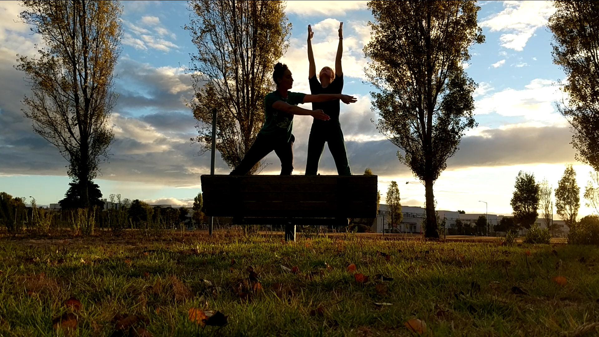  The Phenomenal Anomalies at Animate Dance Festival  