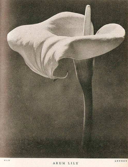  1930s - Photo by Felix Man 