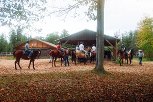 Recreation — Silver Birch Ranch