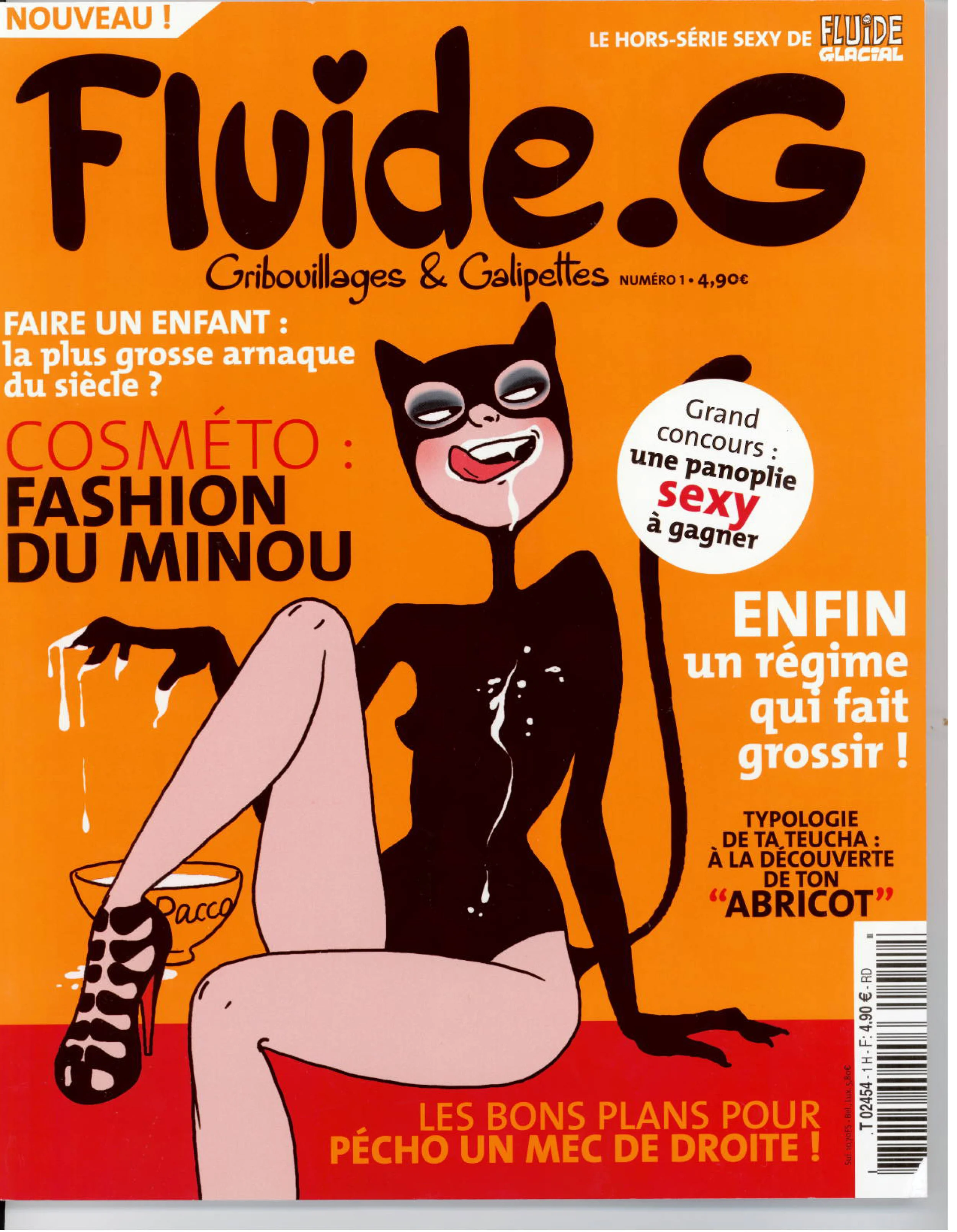 FluidG_Cover_2010_DC.jpg