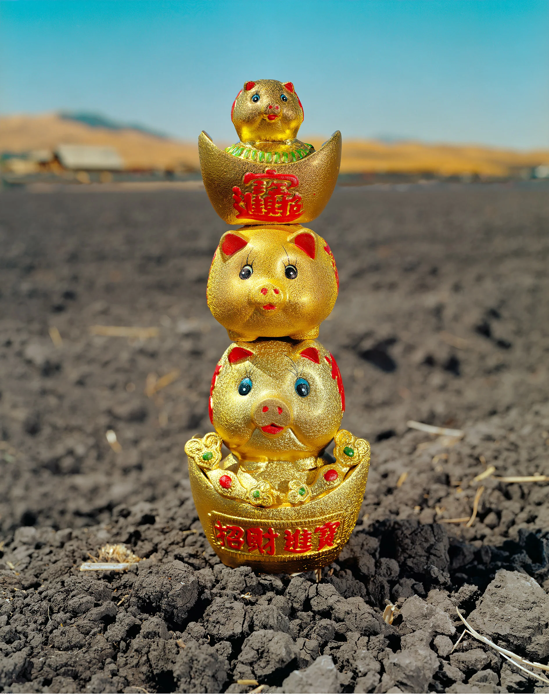 Les Cochons, from the ”C'est comme Les Bourgeois” series. sRGB IEC611966 -2.1 ( Collection of the Artist ) 76.83 x 102.2 cm. (30 1/4 x 40 1/4 inch.)