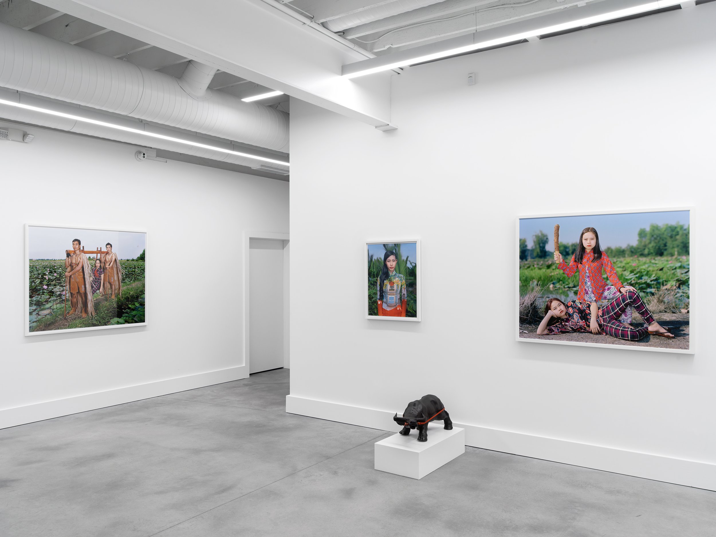  Installation view of Olivier Laude:    Chiến Thắng Ba Tơ  left to right:  Cáng, Tuyền Vestida, The Wrongerers, &amp; Untitled (Buffalo)  